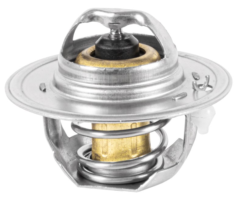 TERMOSTAT 12364