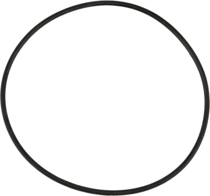 O-ring din EPDM 94.92 mm 27564