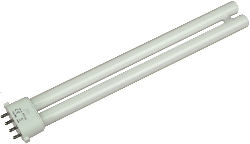 BECUL 36130