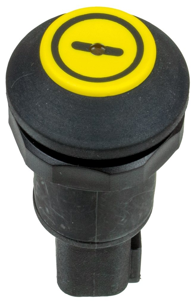 interruttore pneutron DTW 37116