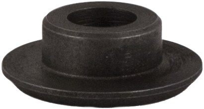 BUSCI 46137