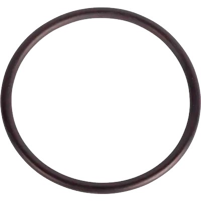 inel O 78.74x5.33 mm 576819C