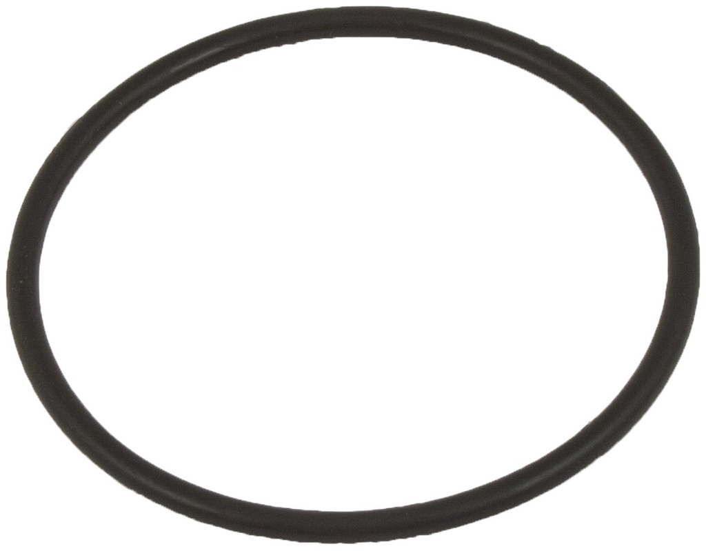 O-ring 61074