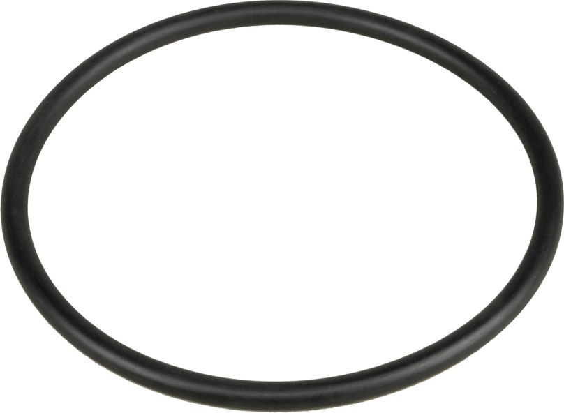 O-ring 61591