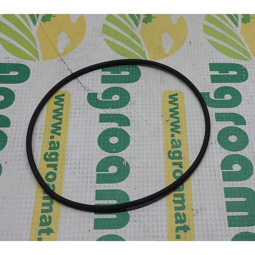 O-Ring 3382252M1