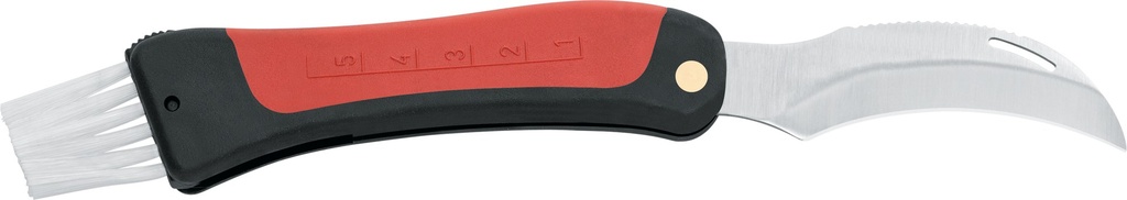 coglifunghi 78193