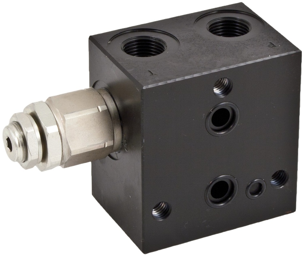 Entry cap cu pressure limiting Supapa si VEI (excluding VEI) - 40÷180 82095