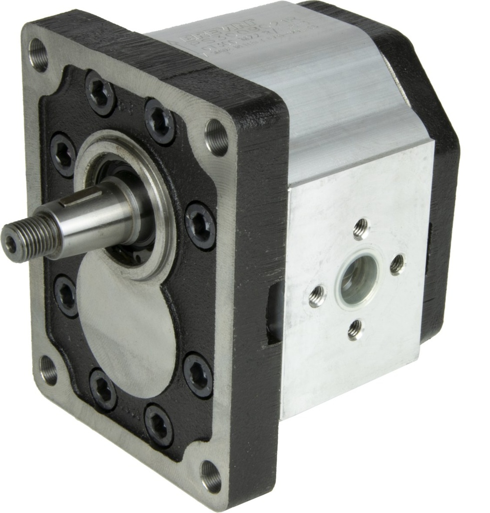 Motorreductor cu două sensuri GRUP 3 Volum curățat 22 cc 82186