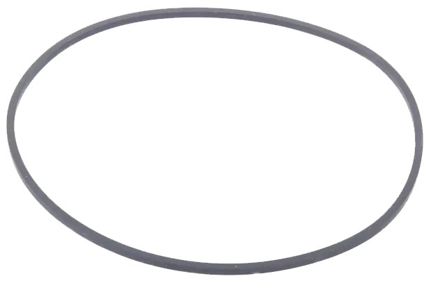 inel quad-ring 169,2x3,5 CA123972