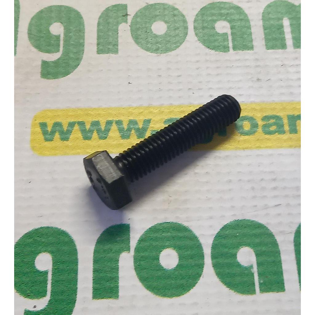 Surub Cap Hexagonal Filet Total M10x45mm
