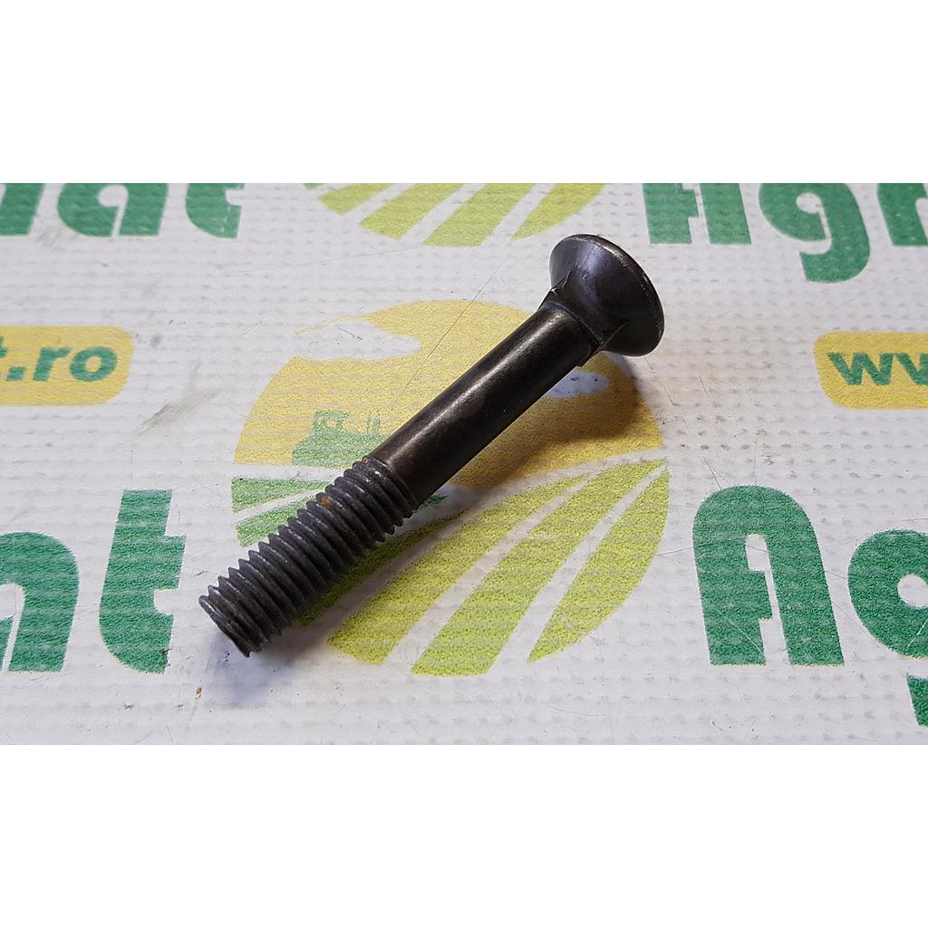 Surub 12x80