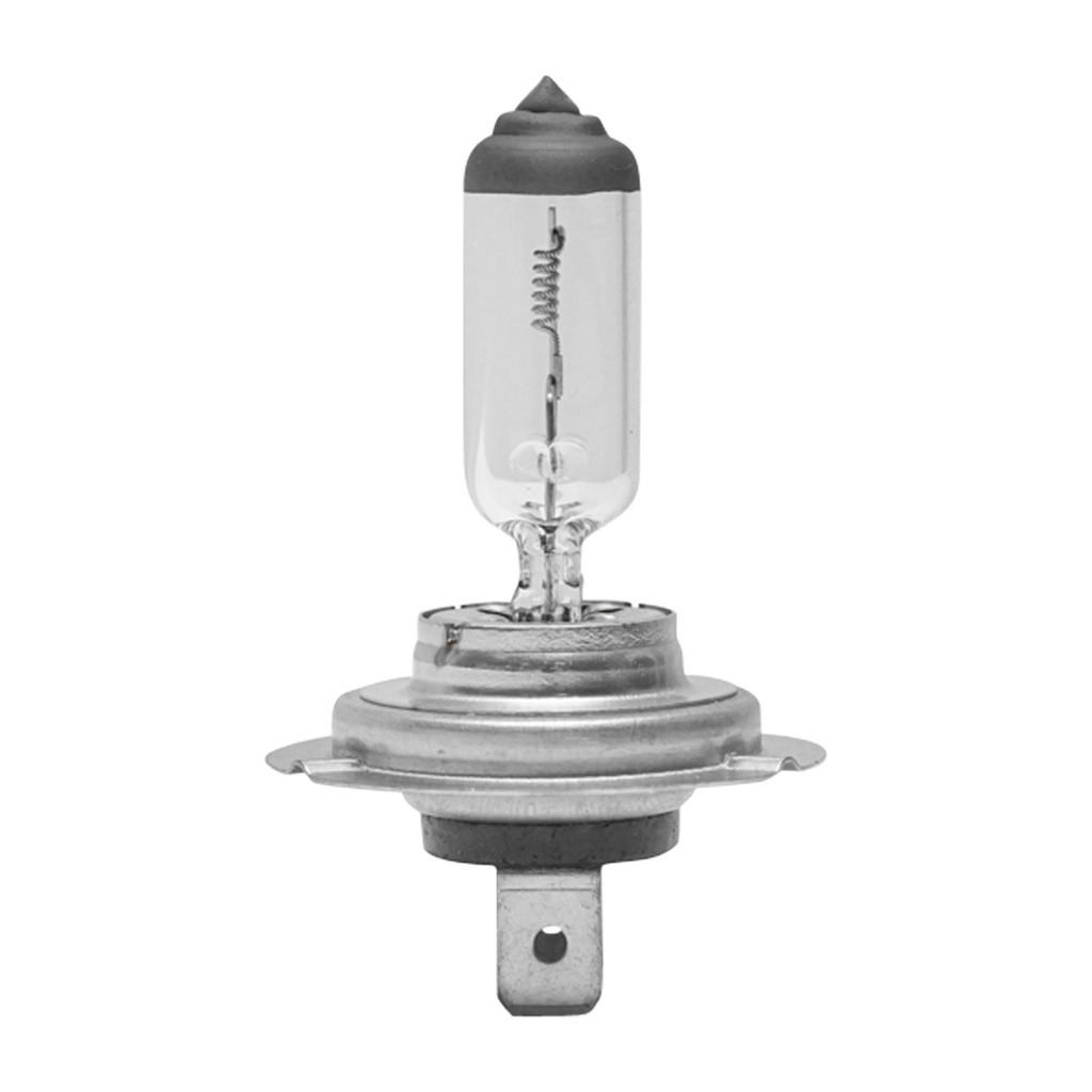 Bec H7 24V 70W