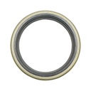 Simering stergator cilindru forta fi 100 (inel radere)