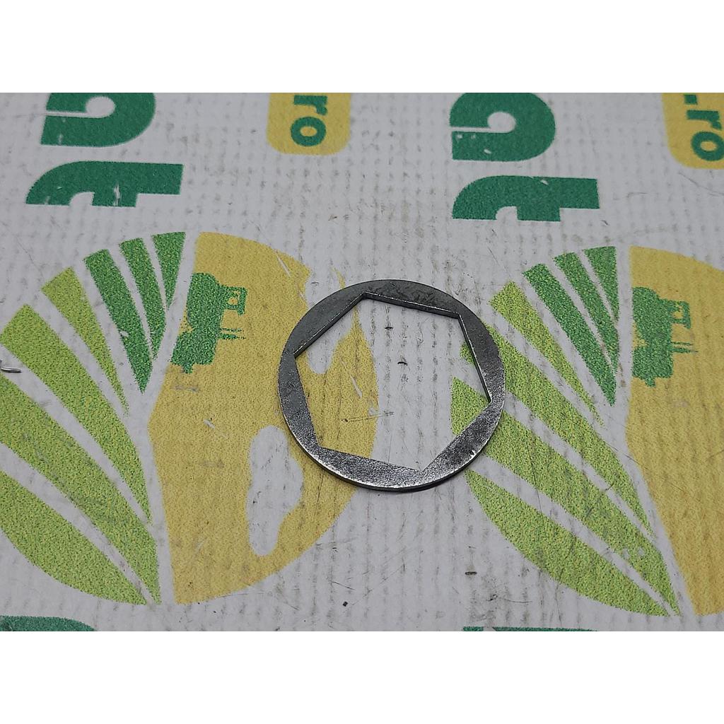 Saiba Hexagonal DR11270