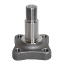 Fuzeta butuc punte roata spate Dacia Logan MCV, VAN, PICK-UP 6001548987 8200490662