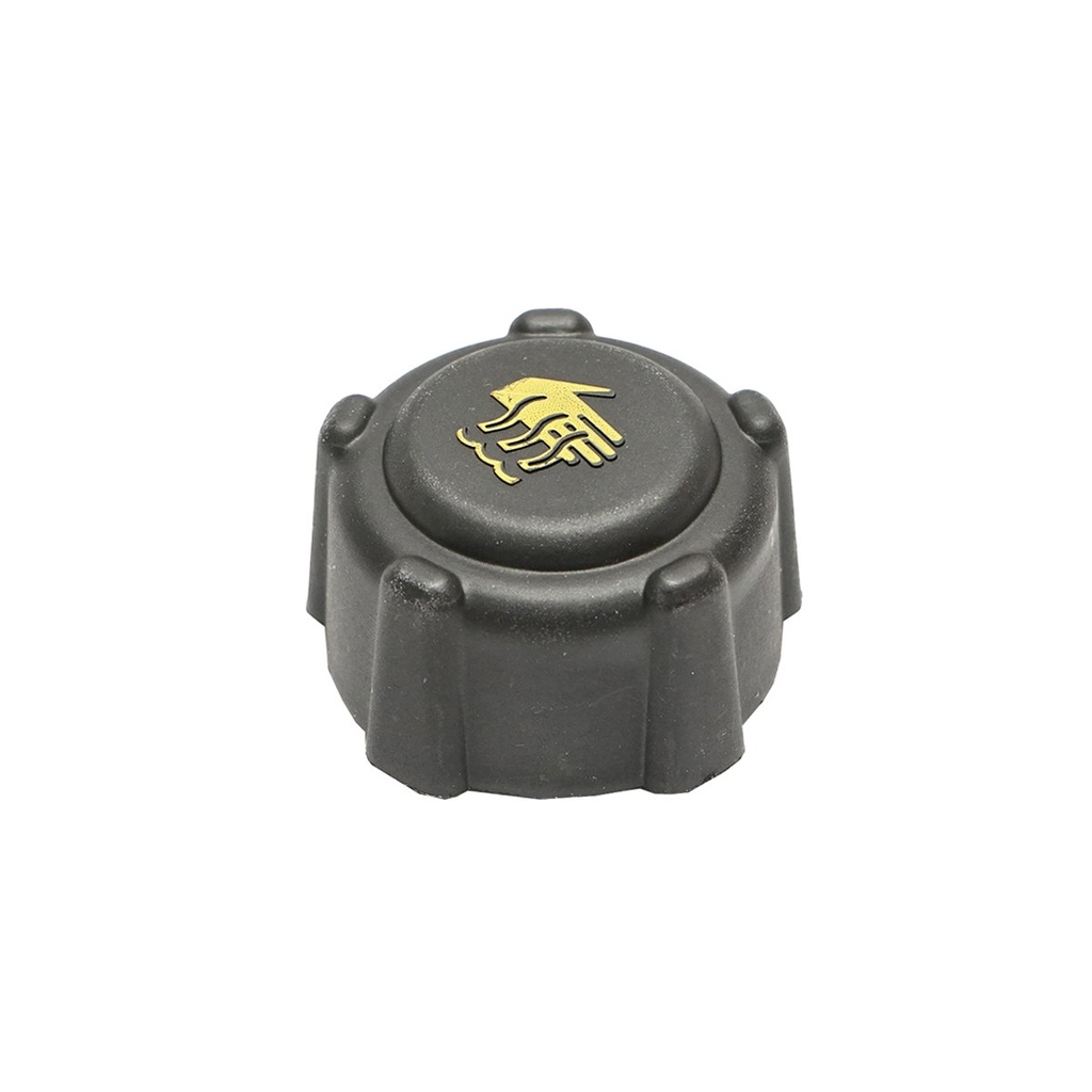 Buson/capac cu supapa presiune vas expansiune Dacia Papuc 1.9 Diesel, Super Nova, Solenza, Logan II, Dokker, Lodgy, Duster 8200048024