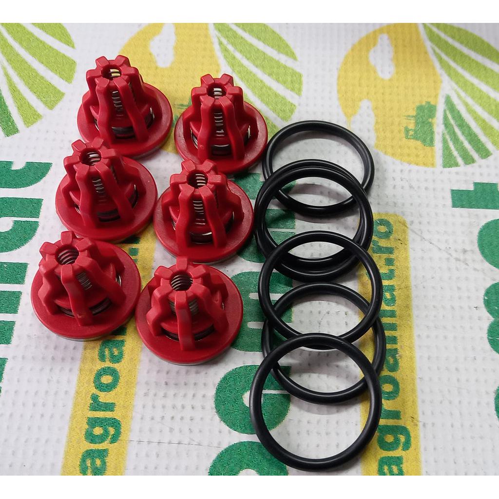 Kit Valve Zeta 85/100