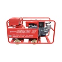 Generator electric 12kW 220/380v, motor diesel ZH1110, generator STC-12kW