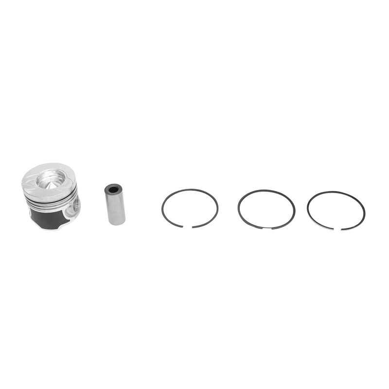 Piston motor echipat pentru Dacia Papuc 1.9D R1 59683681