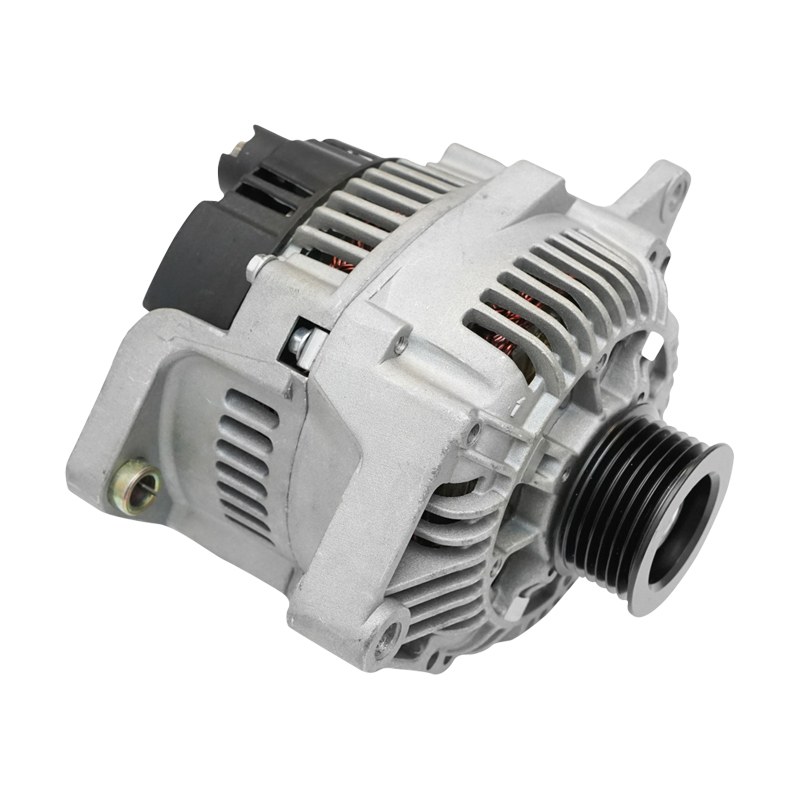 Alternator pentru Dacia Papuc 1.9D 110 Ah 8200193100