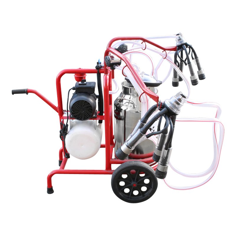 Aparat de muls vaci 2 posturi bidon 40L inox cu butelie, vacuum rezervor