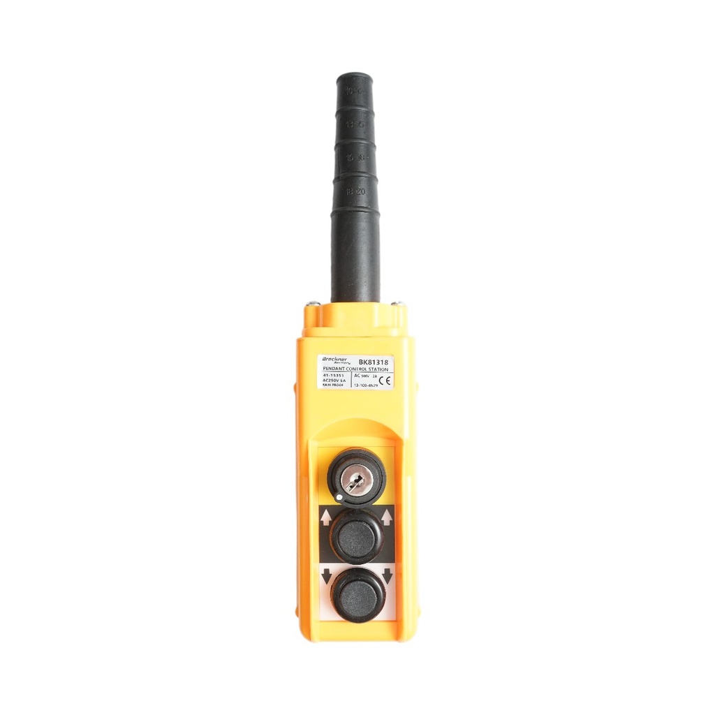 Telecomanda industriala cu 2 comenzi si contact general cu cheie AC 250V/5A-500V/2A