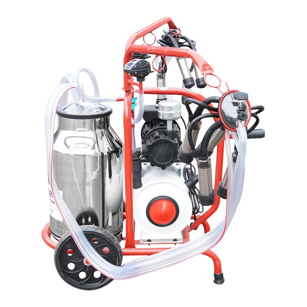 Aparat de muls vaci cu grup colector 160cc, sasiu vopsit electrostatic, bidon inox 40L, 2 posturi