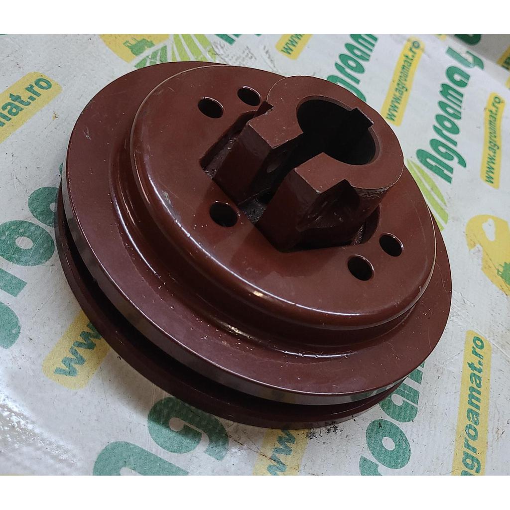 Butuc 06242481