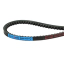 Curea transmisie AVX 10X1184 La