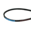 Curea transmisie AVX 10X1600 La