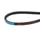 Curea transmisie AVX 13X1225 La