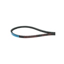 Curea transmisie AVX 10X1165 La