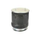 Perna de aer Fabio completa pentru axa fata autobuze Scania seria 4 3440302C