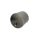 Perna de aer Rantech pentru Mercedes Actros MP2, MP3 Atego, Axor, Axor 2 RT1418302