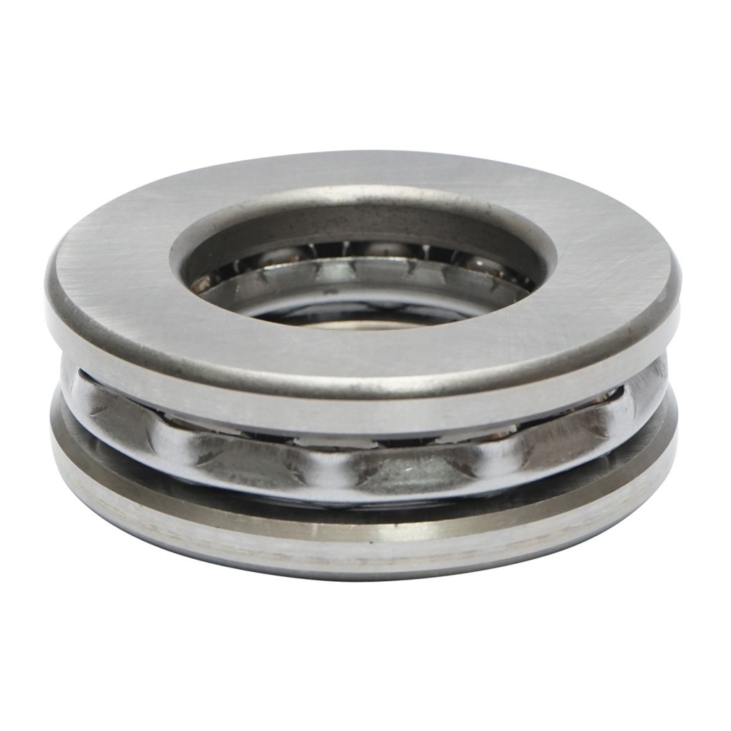 Rulment 51309