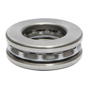 Rulment 51309