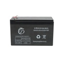 Baterie (acumulator) pentru pompa de stropit vermorel 12L
