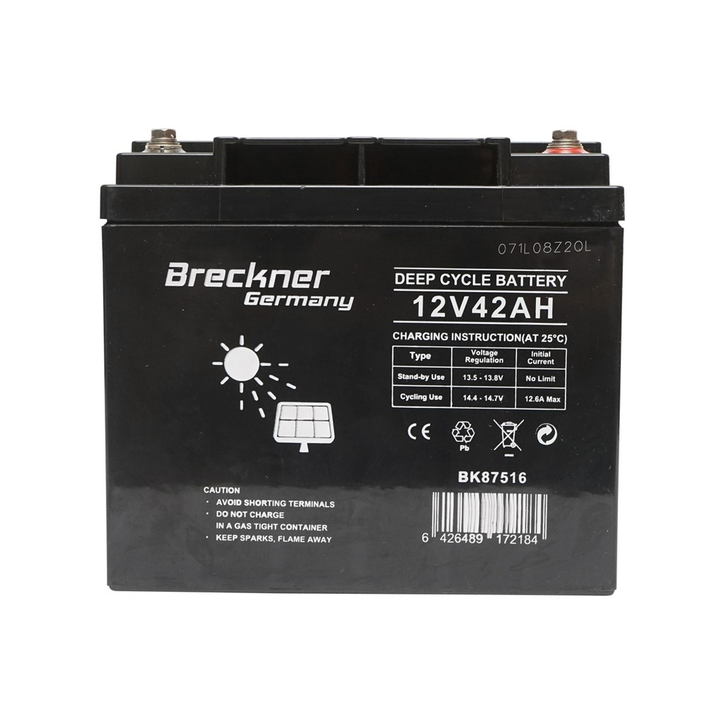 Baterie 12V/42Ah 196x165x175x175mm 13Kg