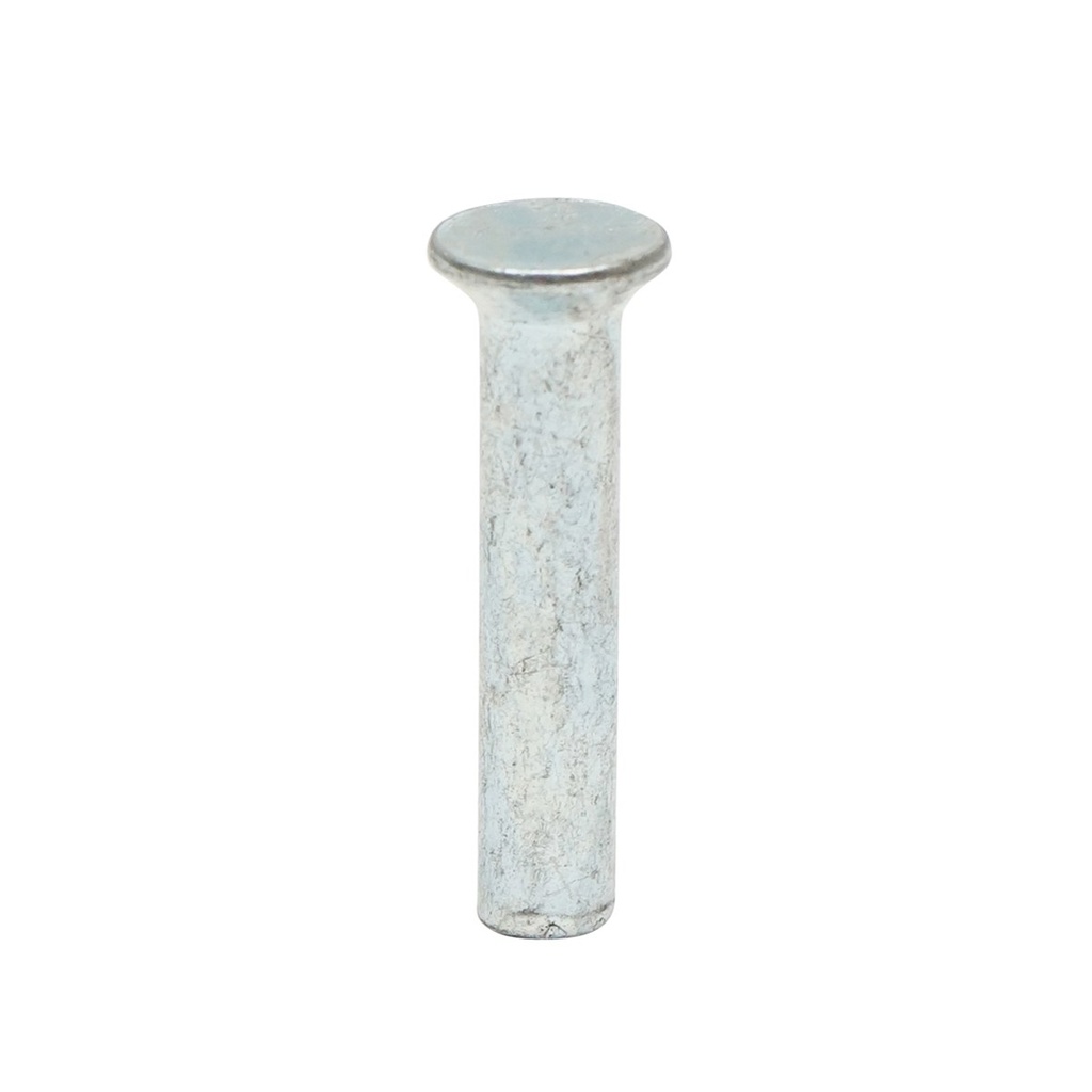 Nit otel solid 31x6, diametru cap 10mm