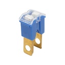 Siguranta auto tip tata, albastru 100Amp