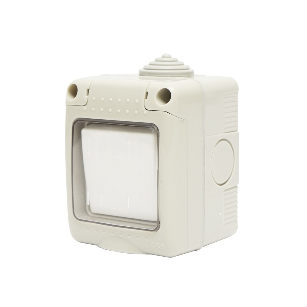 Intrerupator simplu aplicat PT IP55, 10AX, 250V