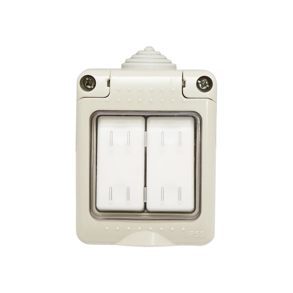 Intrerupator dublu aplicat PT de exterior IP55, 10AX, 250V