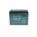 Baterie VRLA cu gel pentru bicicleta electrica cu grafen 6-EVF-45, 12V, 52Ah-20HR CHILWEE