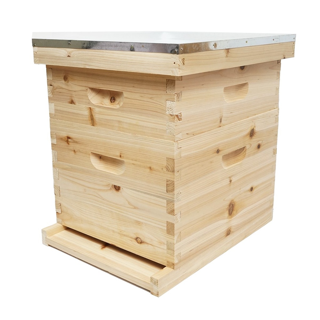 Stup pentru albine din lemn, Dadant, 500x430x310mm