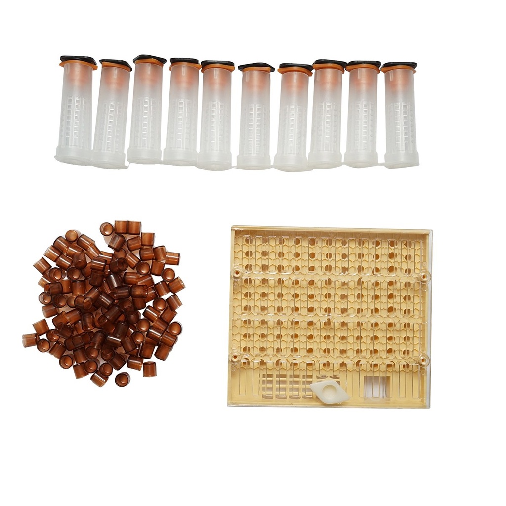 [AMAT6-117712] Set de crestere matci