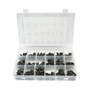 Trusa 164 clipsuri, cleme fixare auto din plastic