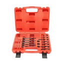 Trusa extractor bujii incandescente M8, M10 22 piese