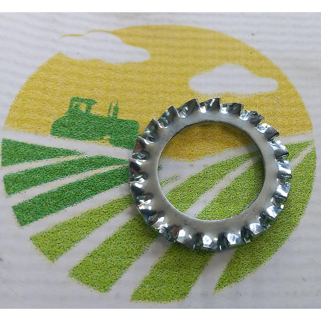 Saiba Crestata M22x36mm