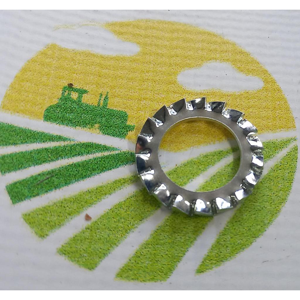 Saiba Crestata M18x30mm