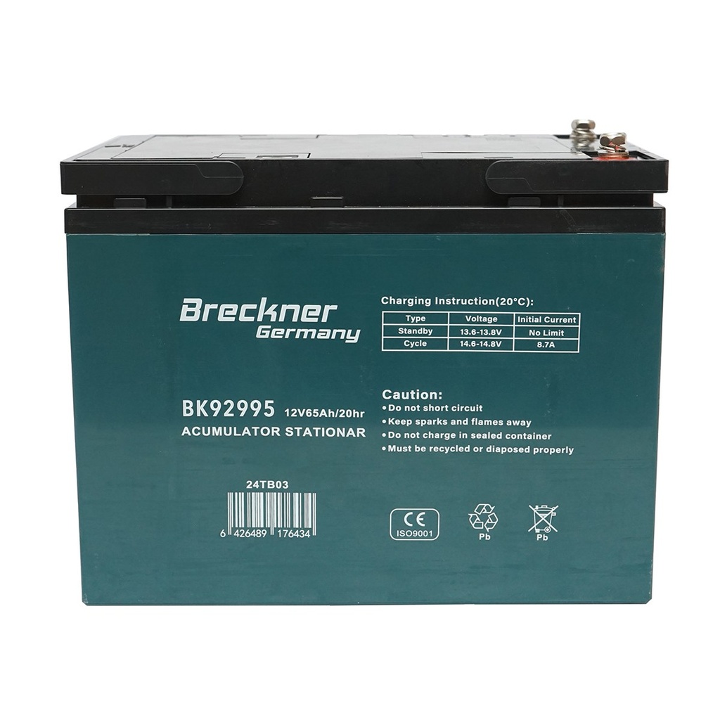 Baterie VRLA cu gel pentru bicicleta electrica 12V 65Ah 20HR 224x150x175mm